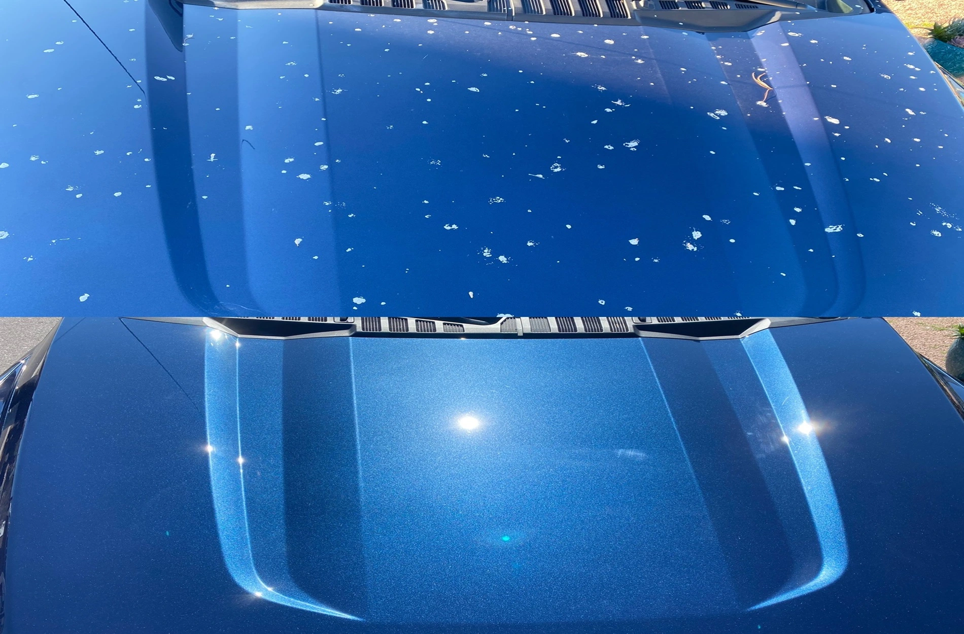 The Art of Paint Correction